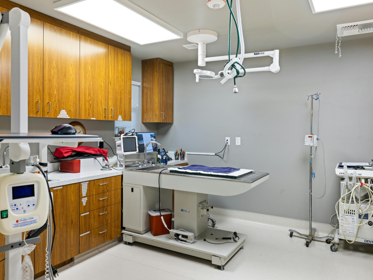 Clinique ou établissement de santé propre